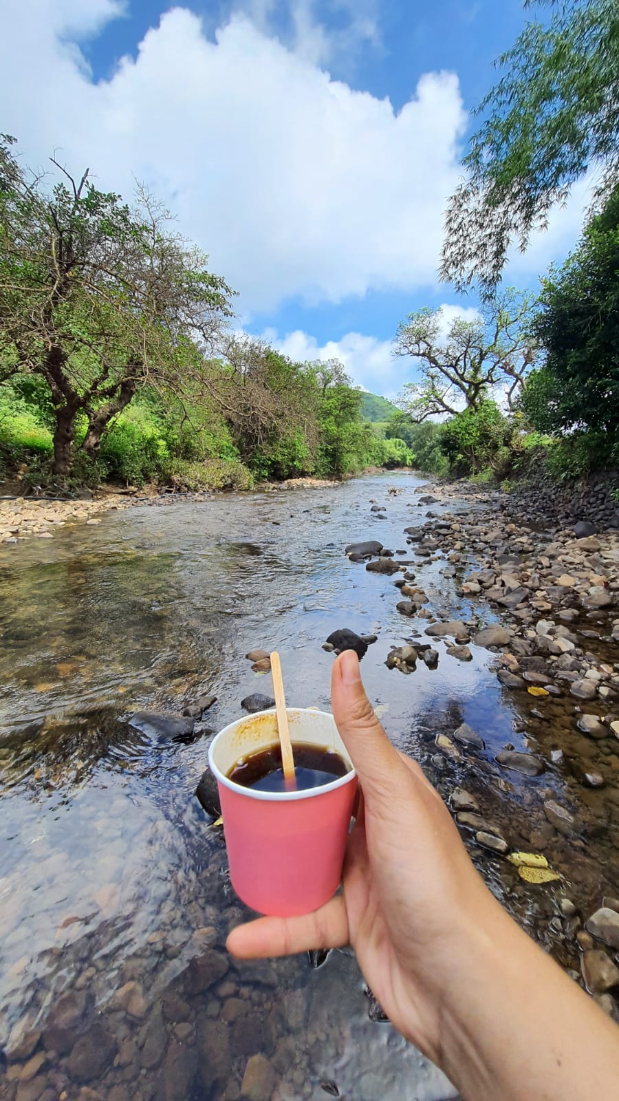 Tamhini - Riverside bush breakfast and birding